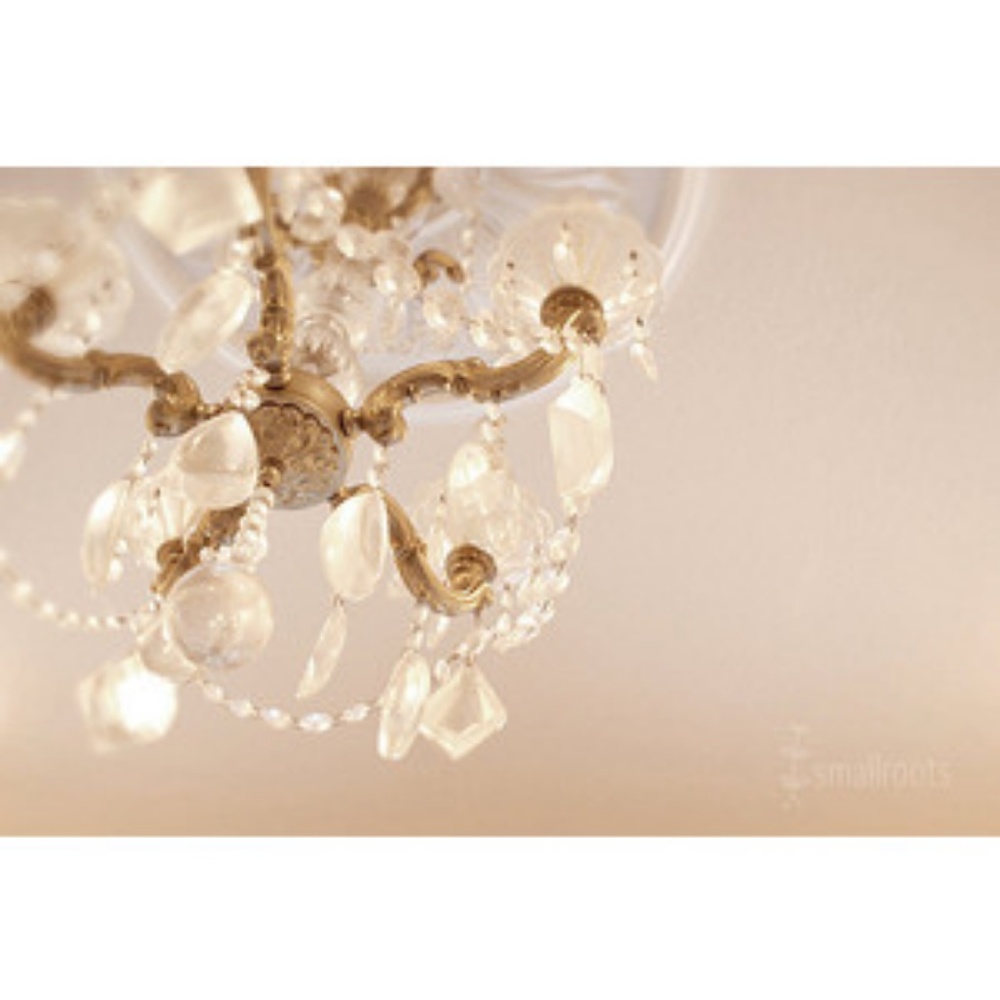 Meet your Posher, Nikki Kittenplan